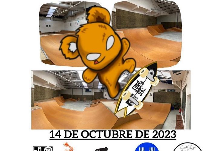 liga_nacional_skatesurf